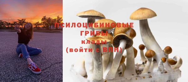 ГАЛЛЮЦИНОГЕННЫЕ ГРИБЫ Михайловск