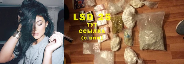 ГАЛЛЮЦИНОГЕННЫЕ ГРИБЫ Михайловск