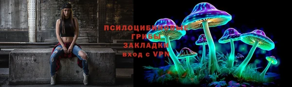 ГАЛЛЮЦИНОГЕННЫЕ ГРИБЫ Михайловск