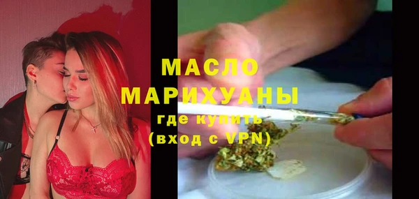 индика Вязьма