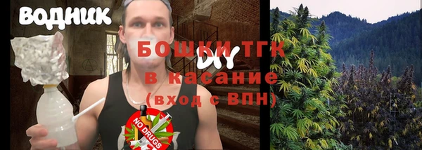 шишки Новокубанск