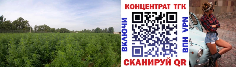 ТГК вейп  blacksprut ТОР  Долгопрудный 