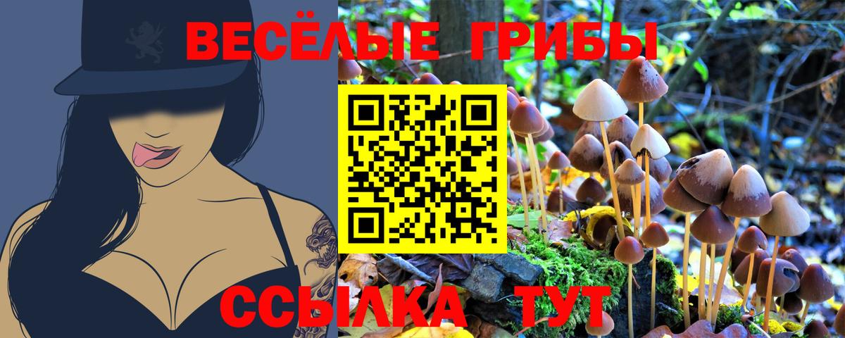 Псилоцибиновые грибы Psilocybe Долгопрудный