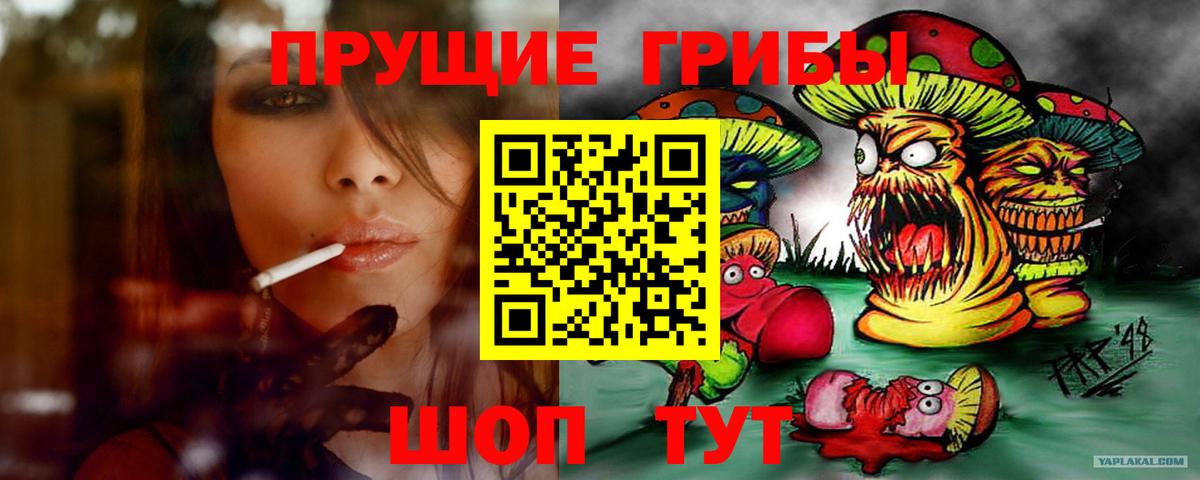 Долгопрудный  Галлюциногенные грибы Psilocybe  купить закладку  Псилоцибиновые грибы ЛСД  Вход с VPN 