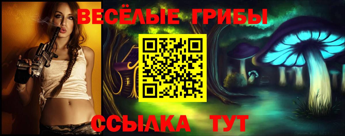 Галлюциногенные грибы Psilocybine cubensis Долгопрудный